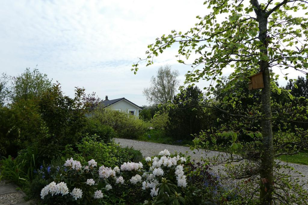Ferienhaus-Silbermoewe Kappeln Extérieur photo